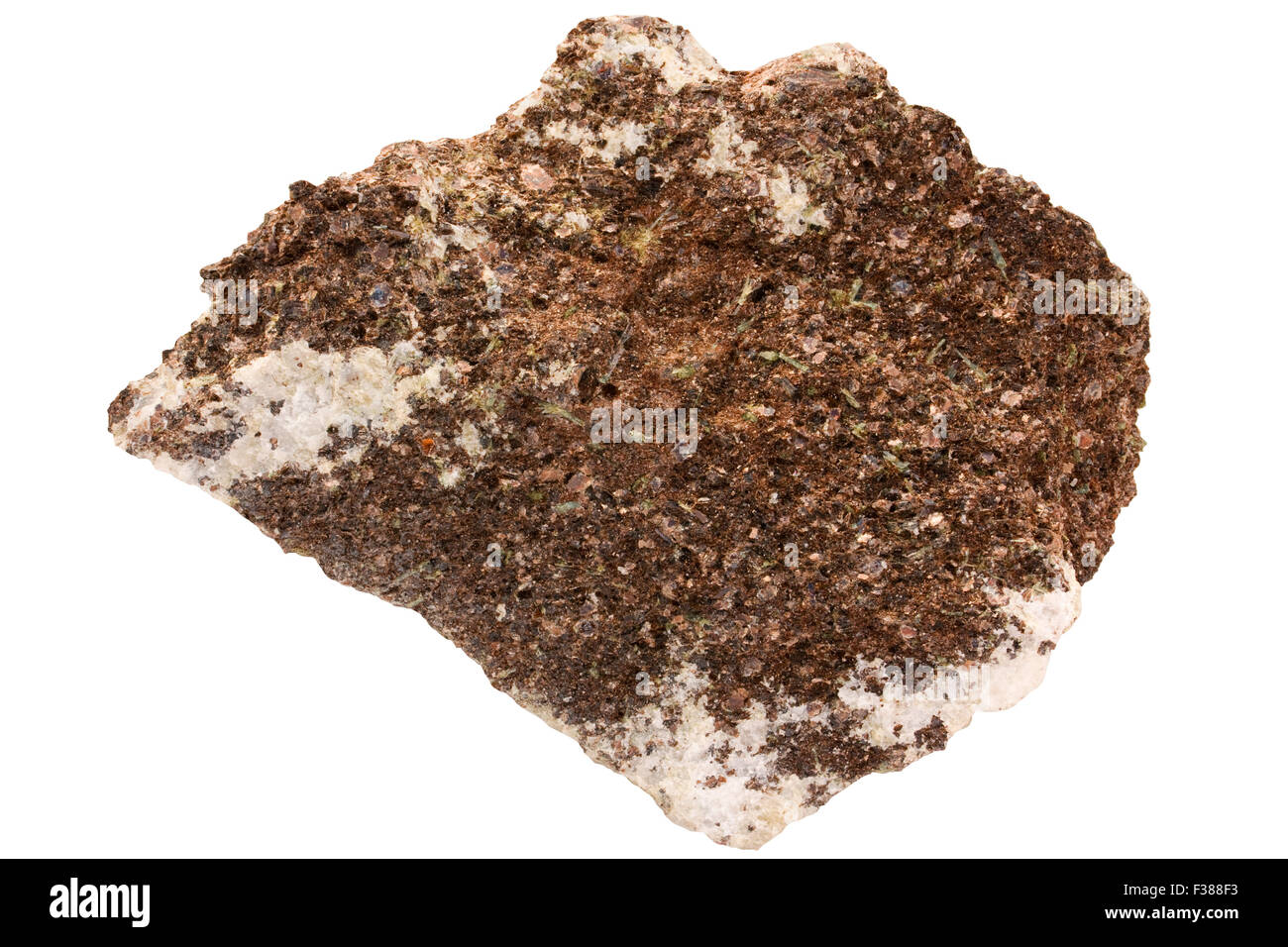Phlogopite-rock (glimmerite) con carbonatite (carbonato di roccia magmatica). Verde minerale è apatite Foto Stock