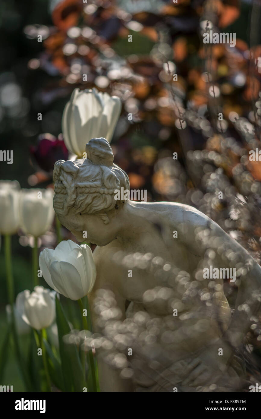 Statua del giardino. Bordo tulipani. Foto Stock
