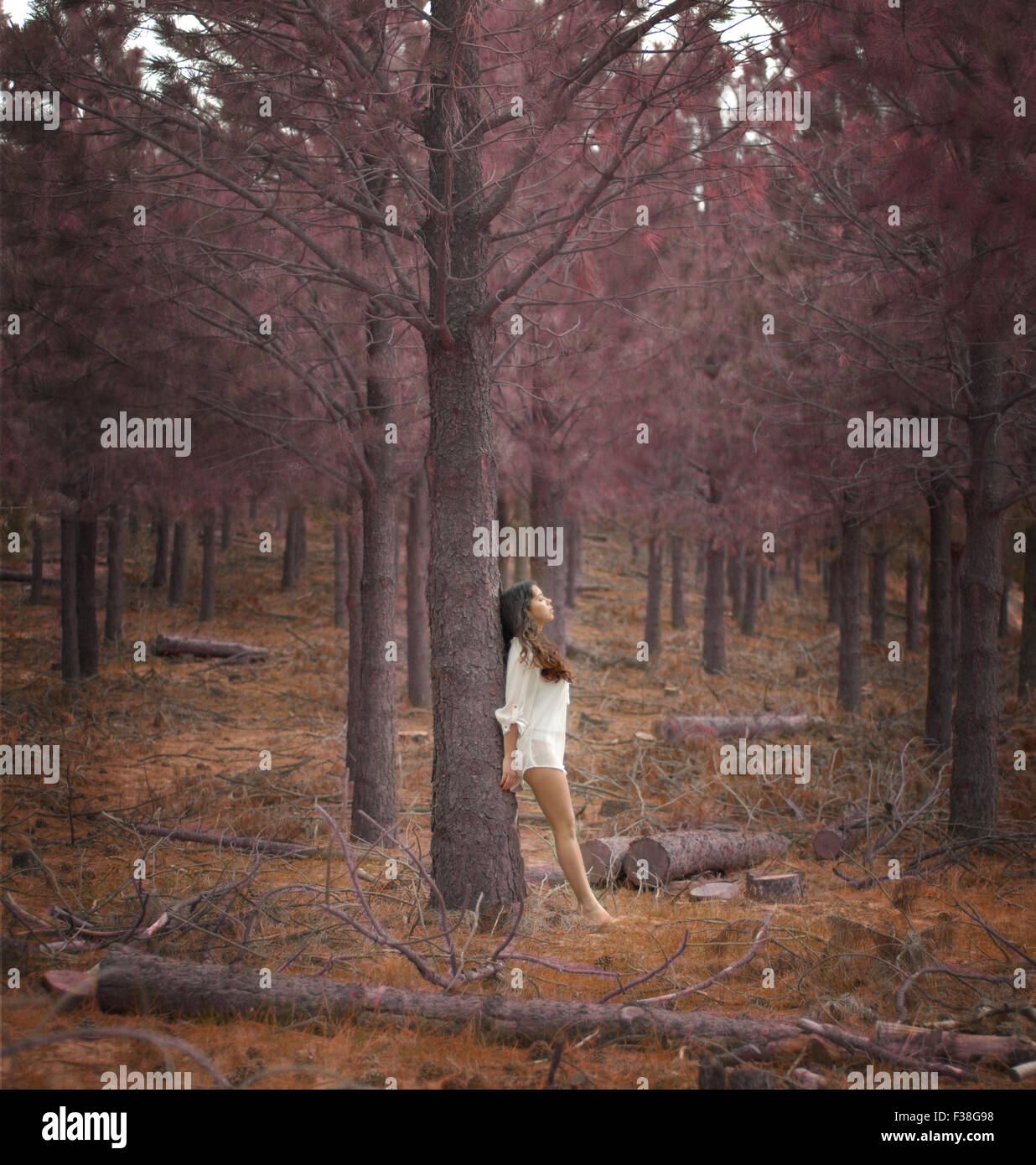 Ragazza in una camicia bianca lungo le gambe contro un albero rosa rose forest Foto Stock