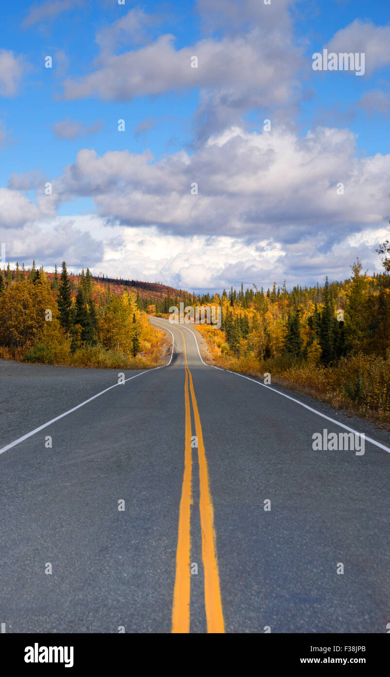 Autunno arriva in Alaska Highway sistema di trasporto con soluzione satura di giallo Foto Stock
