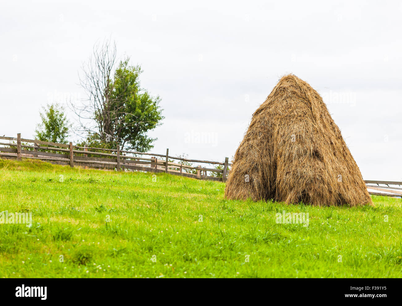 Paesaggio rurale, covoni di fieno nei Carpazi Foto Stock