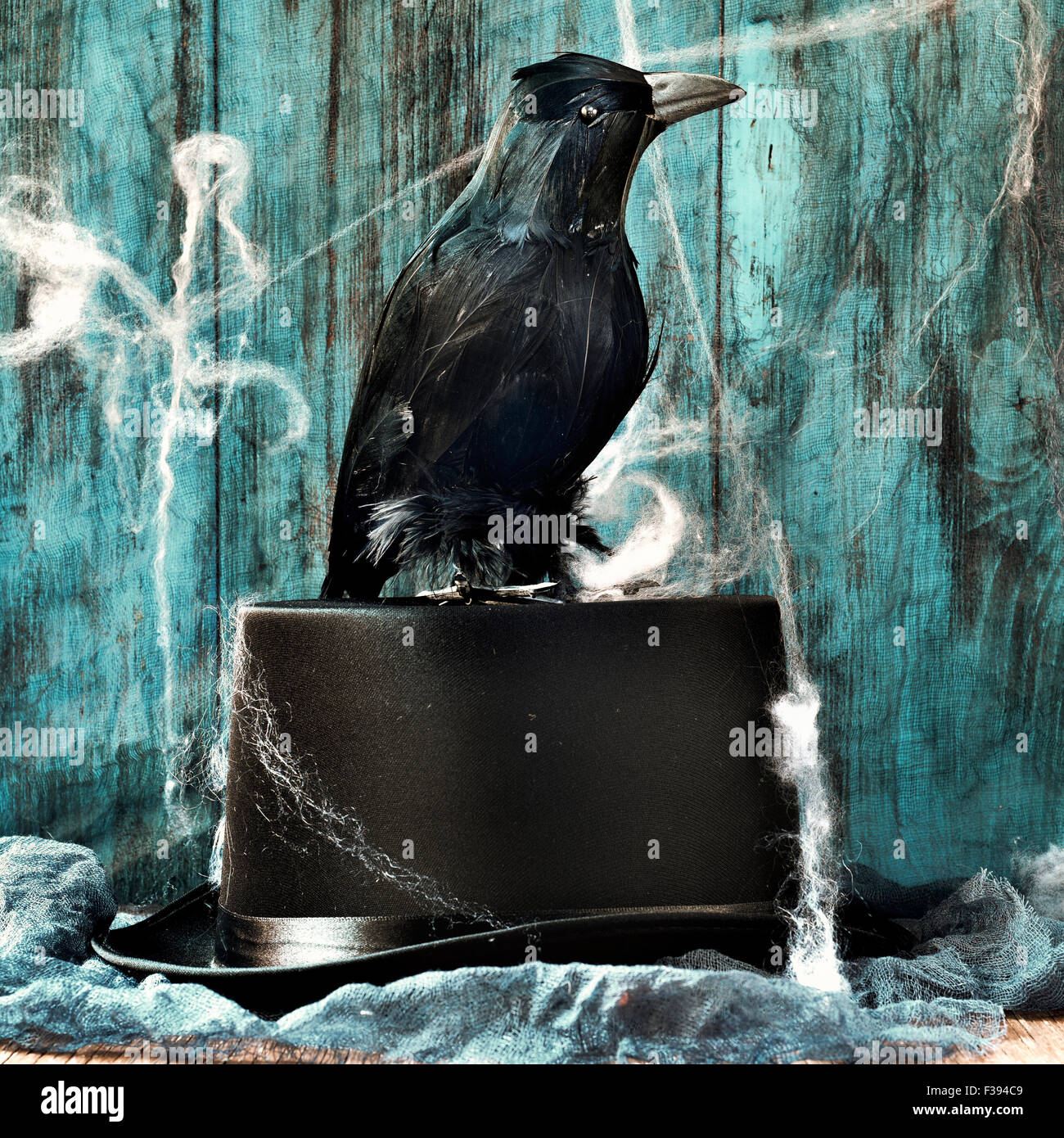 Un corvo nero su un elegante top hat in una triste scena piena di ragnatele Foto Stock