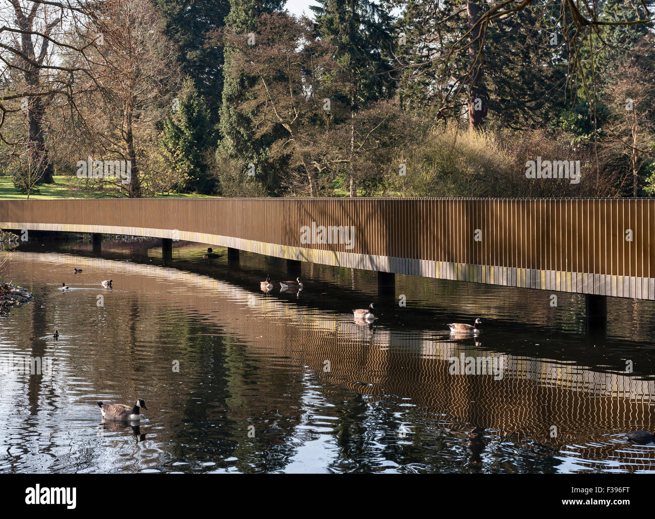 Il Royal Botanic Gardens, Kew, Londra, UK (Kew Gardens). La Sackler attraversando il lago Foto Stock