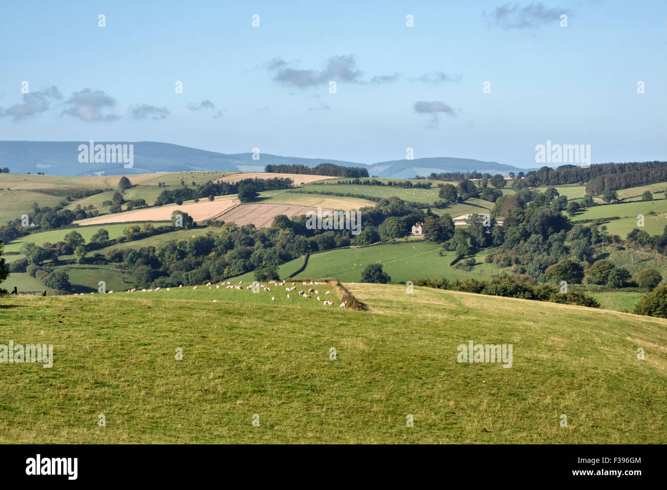Una vista dalla collina di Stonewall sull'Herefordshire - Galles confine vicino Knighton, Powys, Regno Unito, guardando ad ovest in Galles Foto Stock