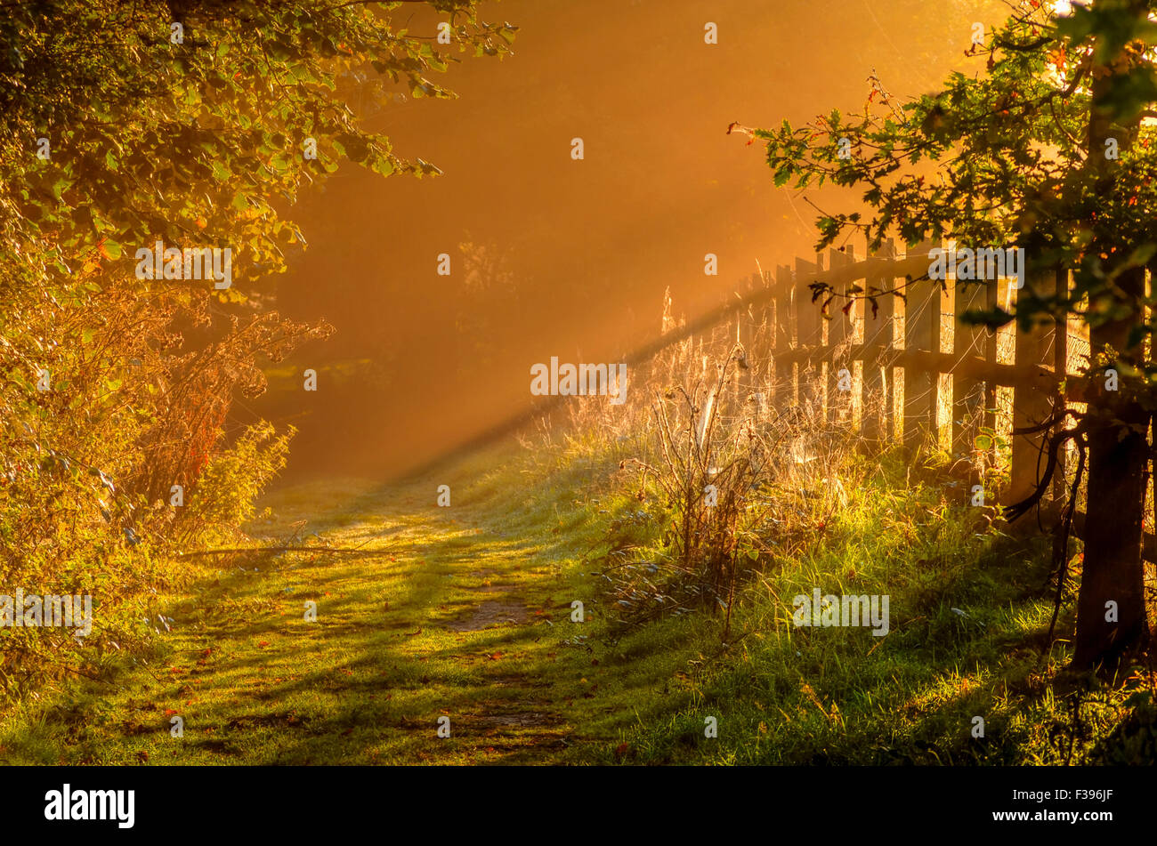 Ticehurst, East Sussex, Regno Unito. 2nd ottobre 2015. UK Weather: Colori autunnali mentre il sole sorge in una bella mattinata di nebbia nella campagna del Sussex orientale Foto Stock