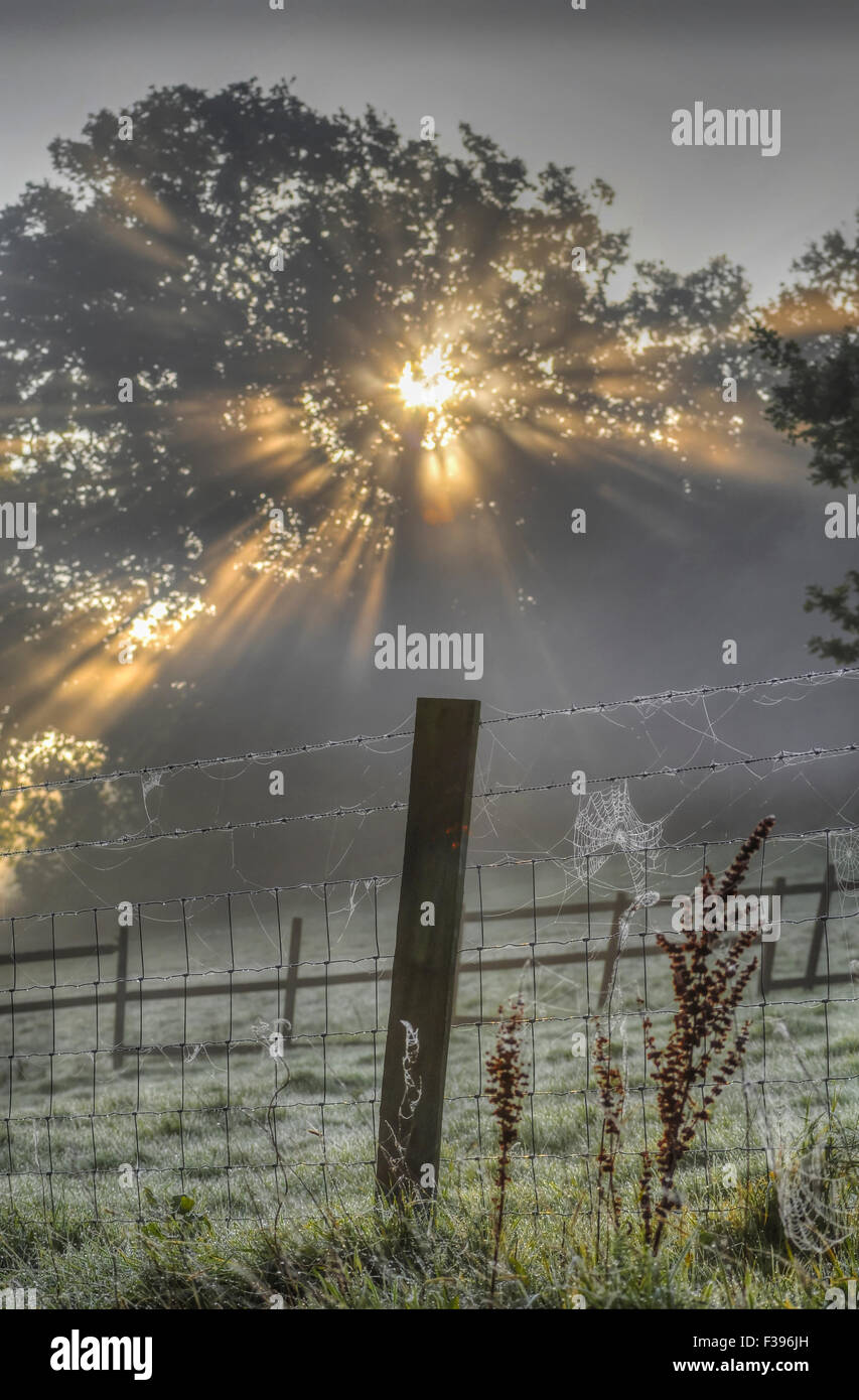 Ticehurst, East Sussex, Regno Unito. 2nd ottobre 2015. UK Weather: Colori autunnali mentre il sole sorge in una bella mattinata di nebbia nella campagna del Sussex orientale Foto Stock