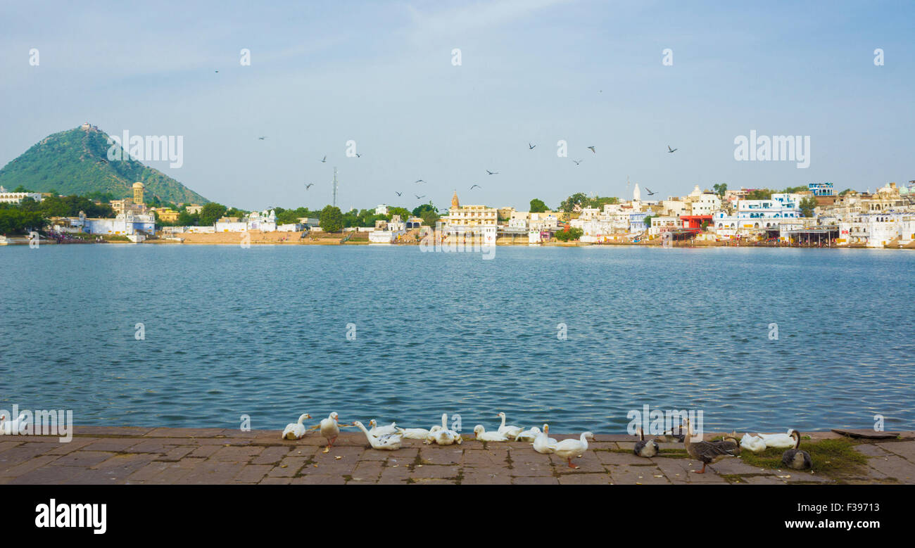 Lago di Pushkar, Ajmer Foto Stock