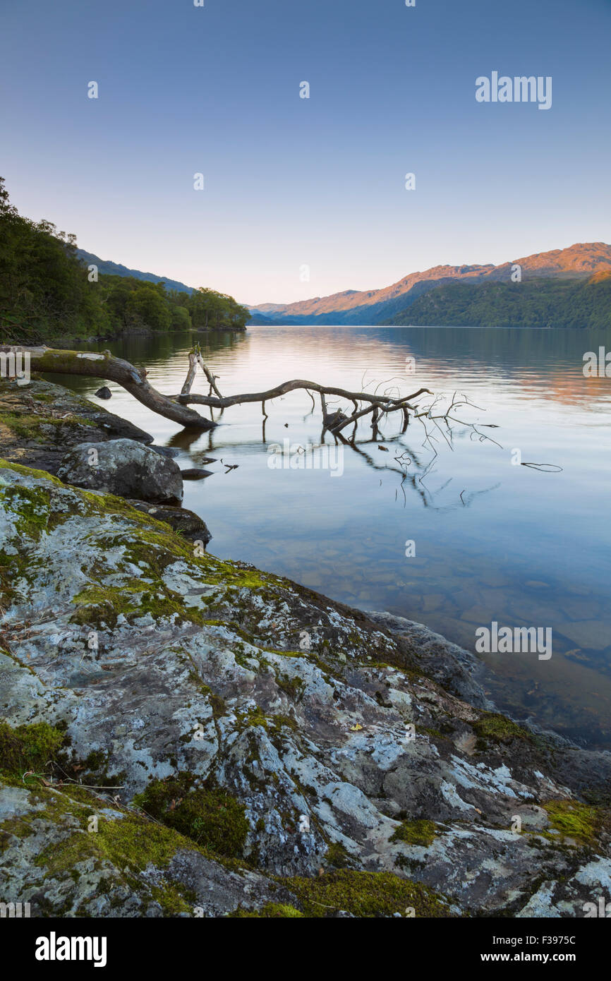 Tramonto su una calma Loch Lomond. Foto Stock