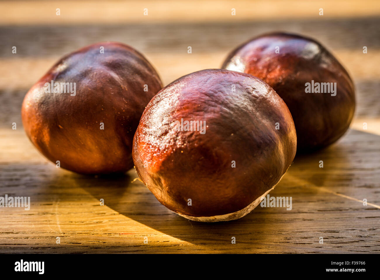 Autunno sfondo con castagne il tavolo di legno in Germania Foto Stock