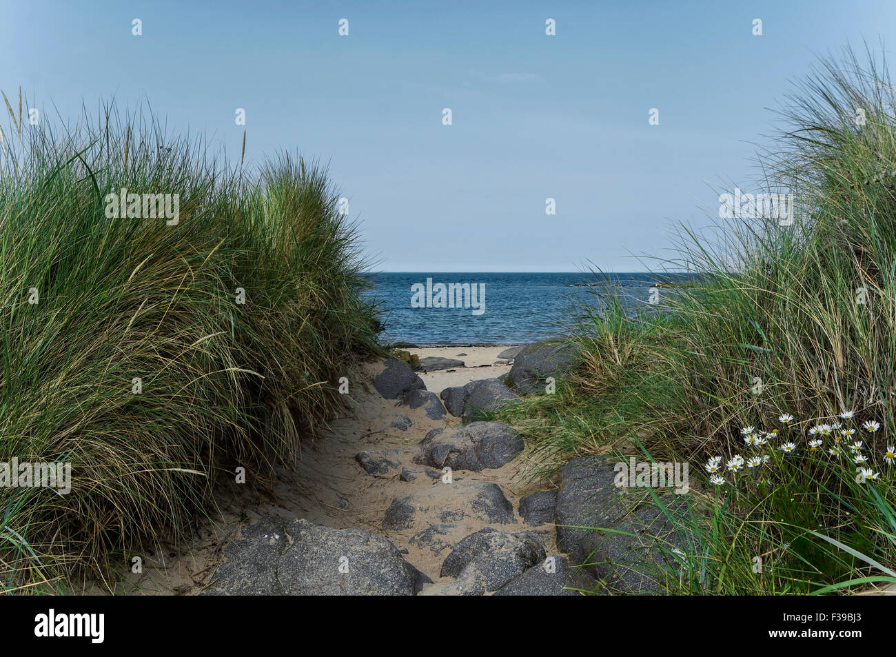 Un percorso di sabbia tra le dune erbose, che conduce alla spiaggia e mare in una limpida giornata estiva. Foto Stock
