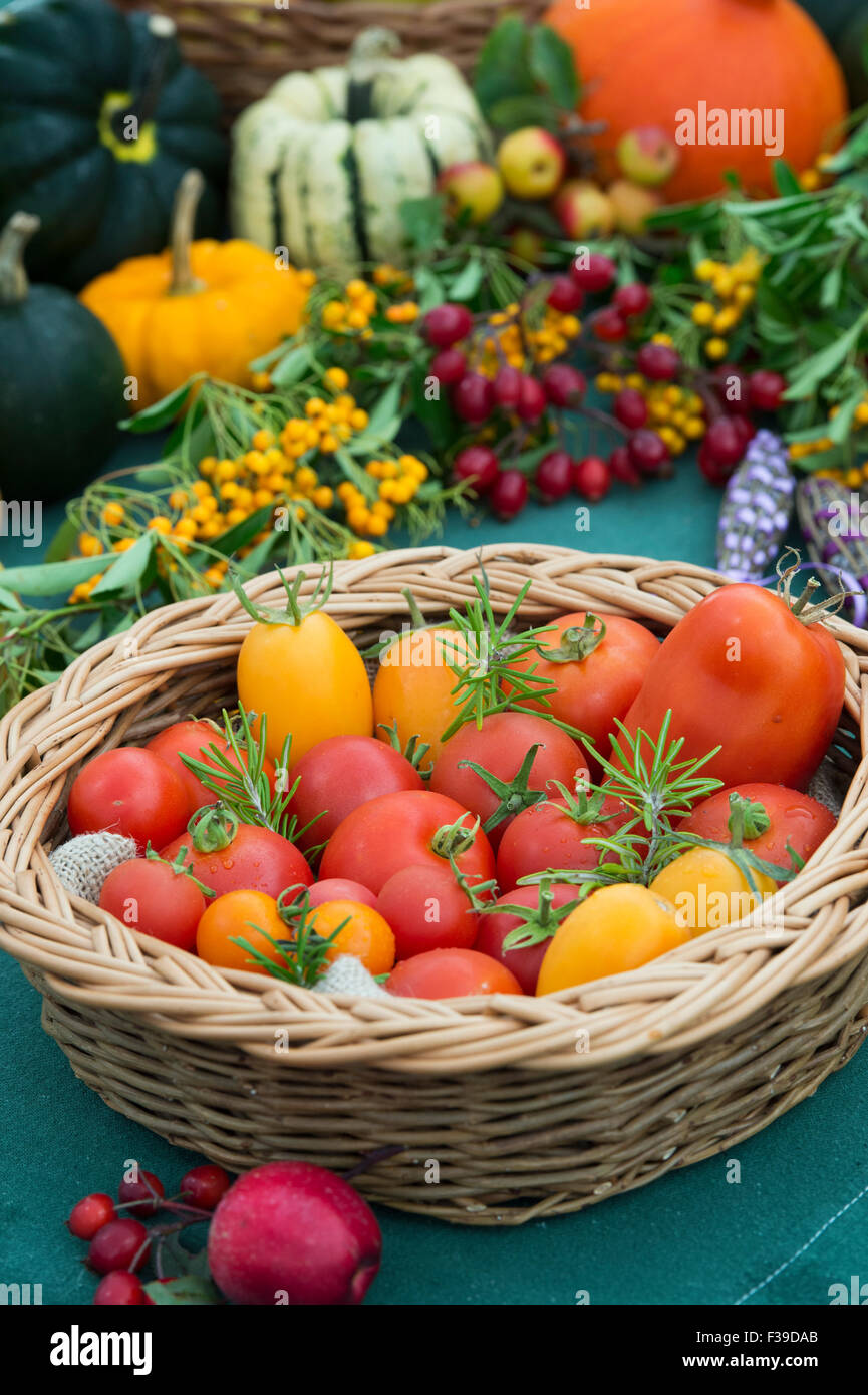 Cestino di pomodoro all'An Autumn Show. REGNO UNITO Foto Stock