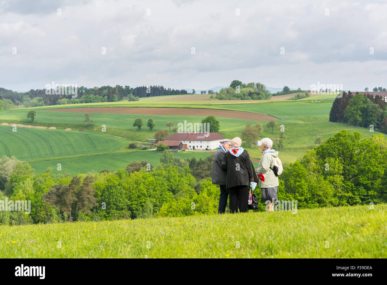 Mauthausen, Austria-May 10.2015: un gruppo di ex deportato osserva il paesaggio intorno al campo di Mauthausen dove egli era impris Foto Stock