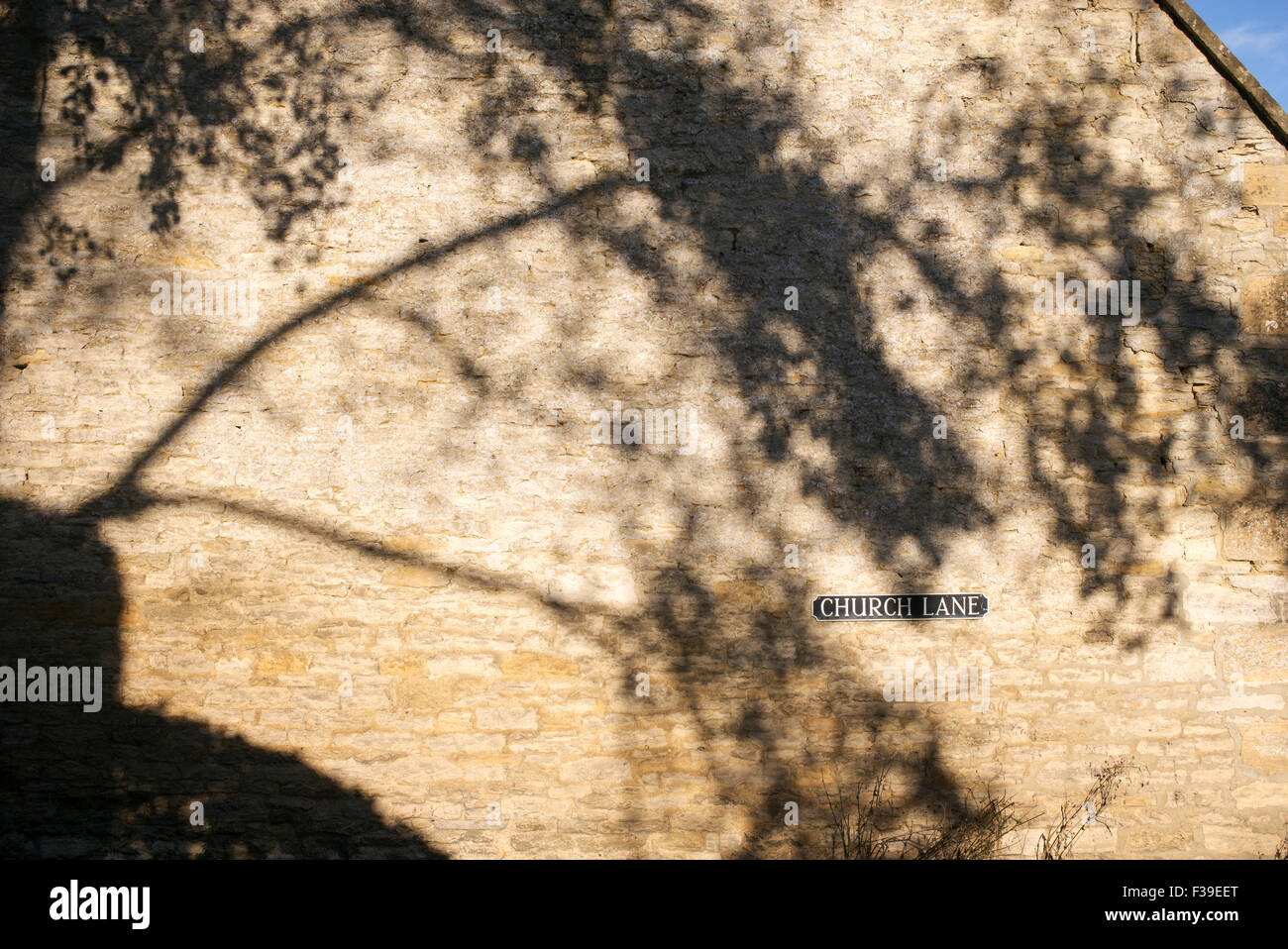 Ombra di albero su di un lato del Cotswold House wall. Church Lane, Fulbrook, Cotswolds, Oxfordshire, Inghilterra Foto Stock
