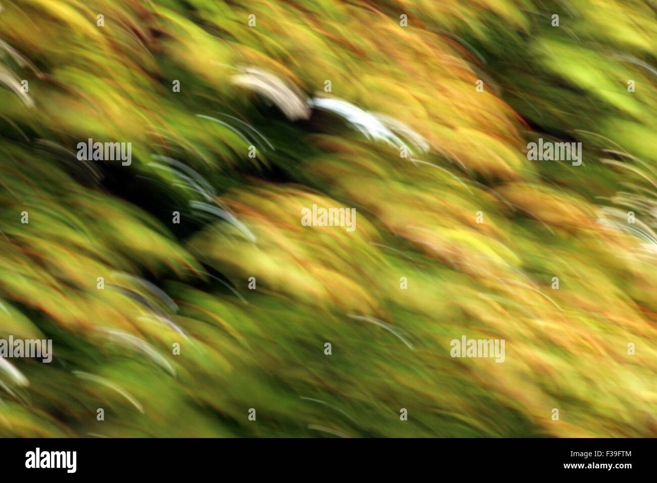 Sfocato dot bokeh stock photo è ideale per gli sfondi, texture, stampe, siti web e molti altri luce astratta arte immagine utilizza! Foto Stock