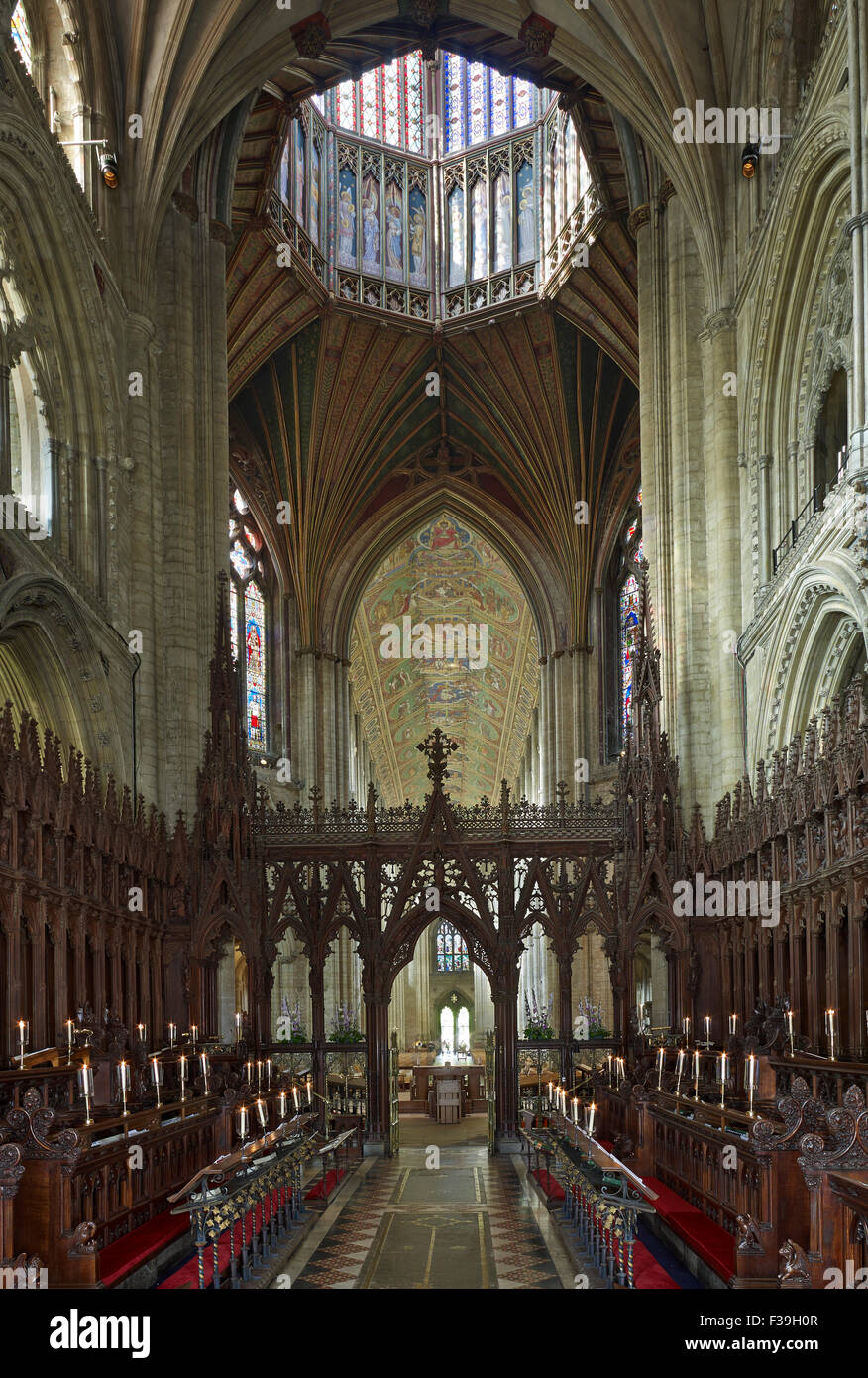 Cattedrale di Ely, lunga vista a ovest dal coro Foto Stock Cattedrale di Ely, lunga vista a ovest dal coro Foto Stock