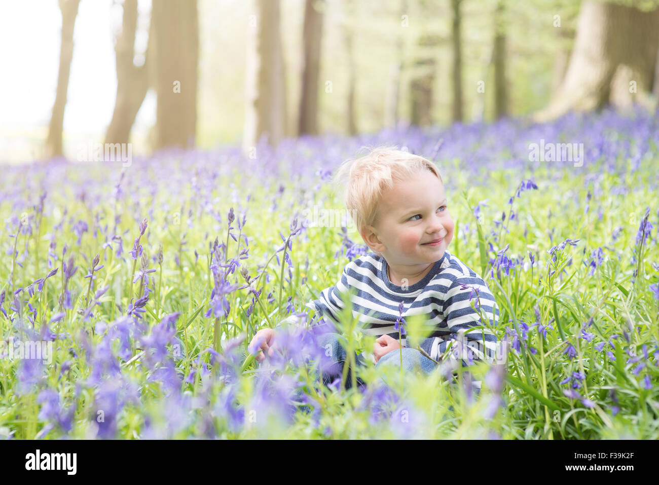 Ritratto di un ragazzo seduto nella foresta di bluebell Foto Stock