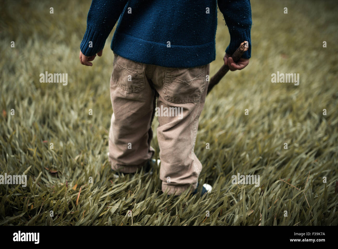 Sezione bassa di un bambino in piedi in campo tenendo un bastone di legno Foto Stock