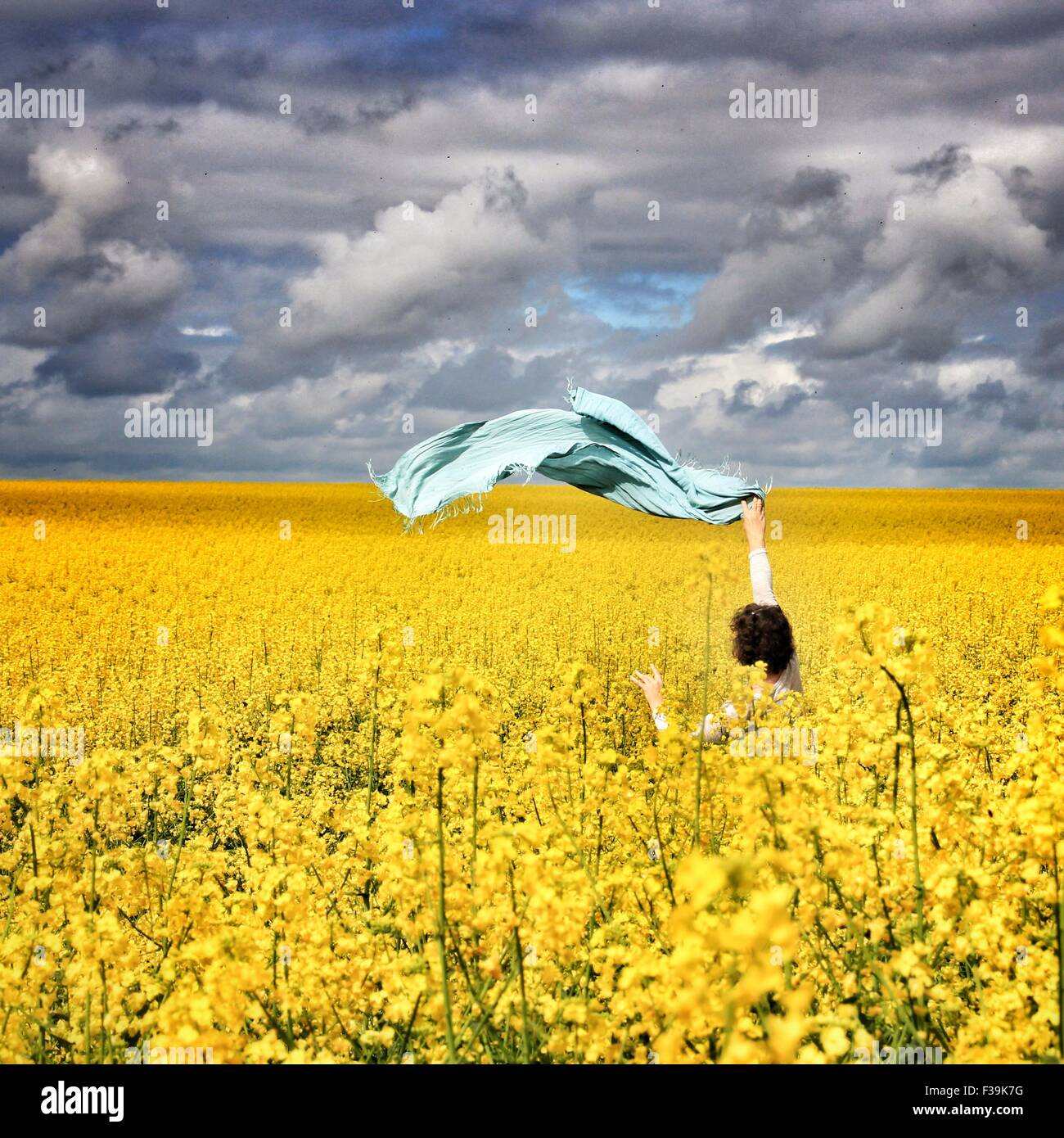 Donna in piedi in un campo di colza sventola una sciarpa in aria Foto Stock