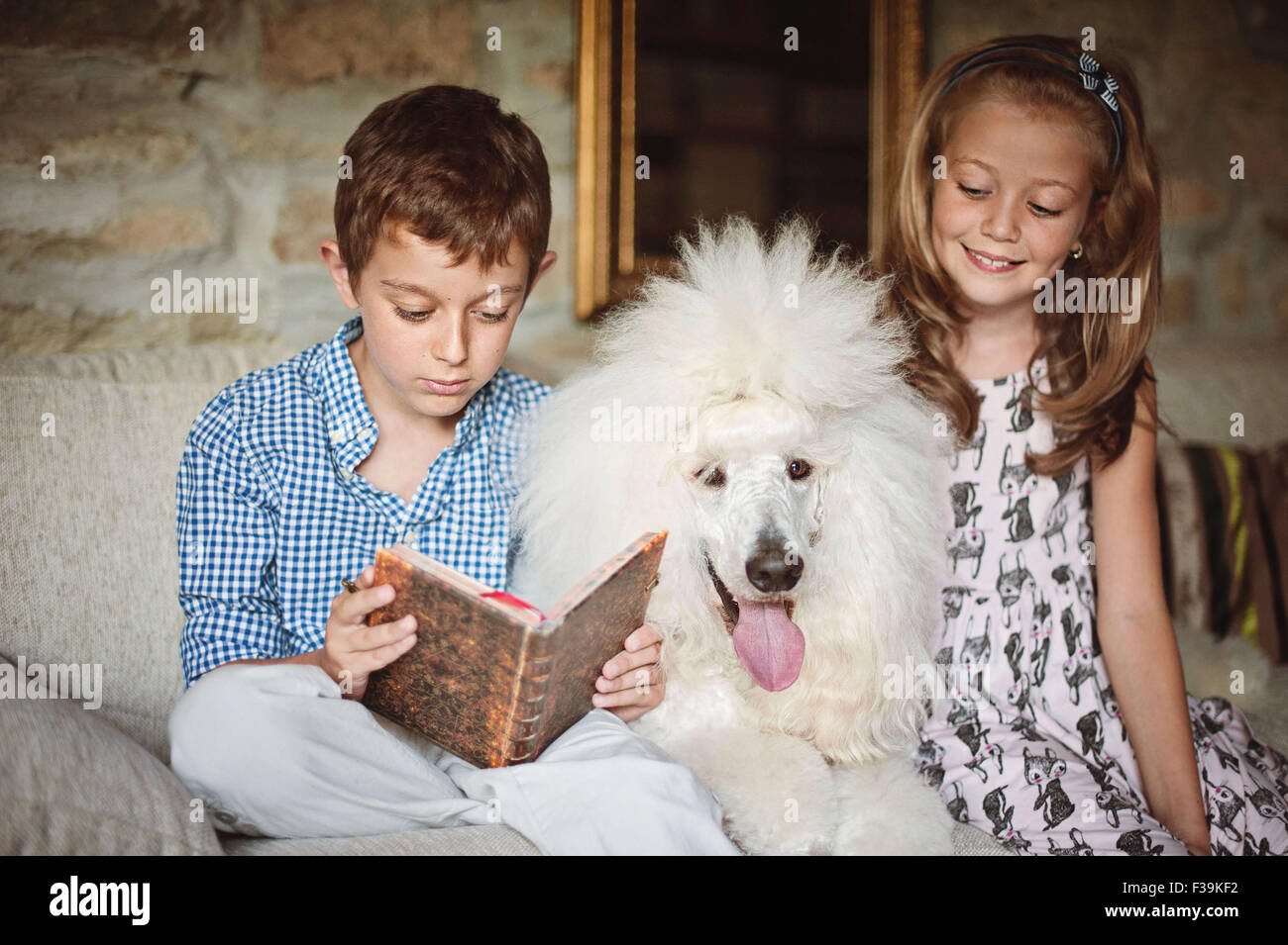 Un ragazzo e una ragazza la lettura di un libro con i loro pet cane barboncino Foto Stock