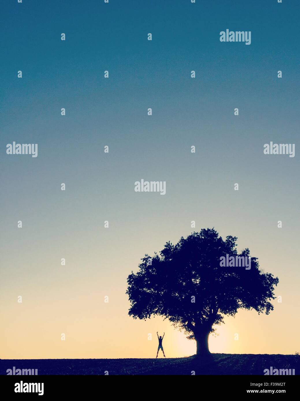 Irriconoscibile la persona in piedi sotto un albero a fare un salto a stella, Francia Foto Stock
