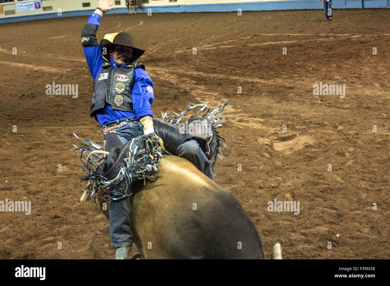 Cowboy a cavallo strappi bull durante il rodeo in Oklahoma City, Oklahoma, Stati Uniti d'America. Foto Stock