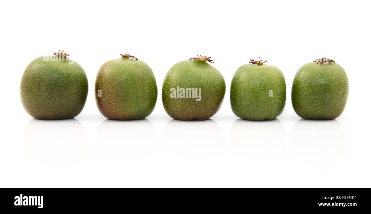Linea di 5 kiwi verde bacche, isolato su uno sfondo bianco Foto Stock