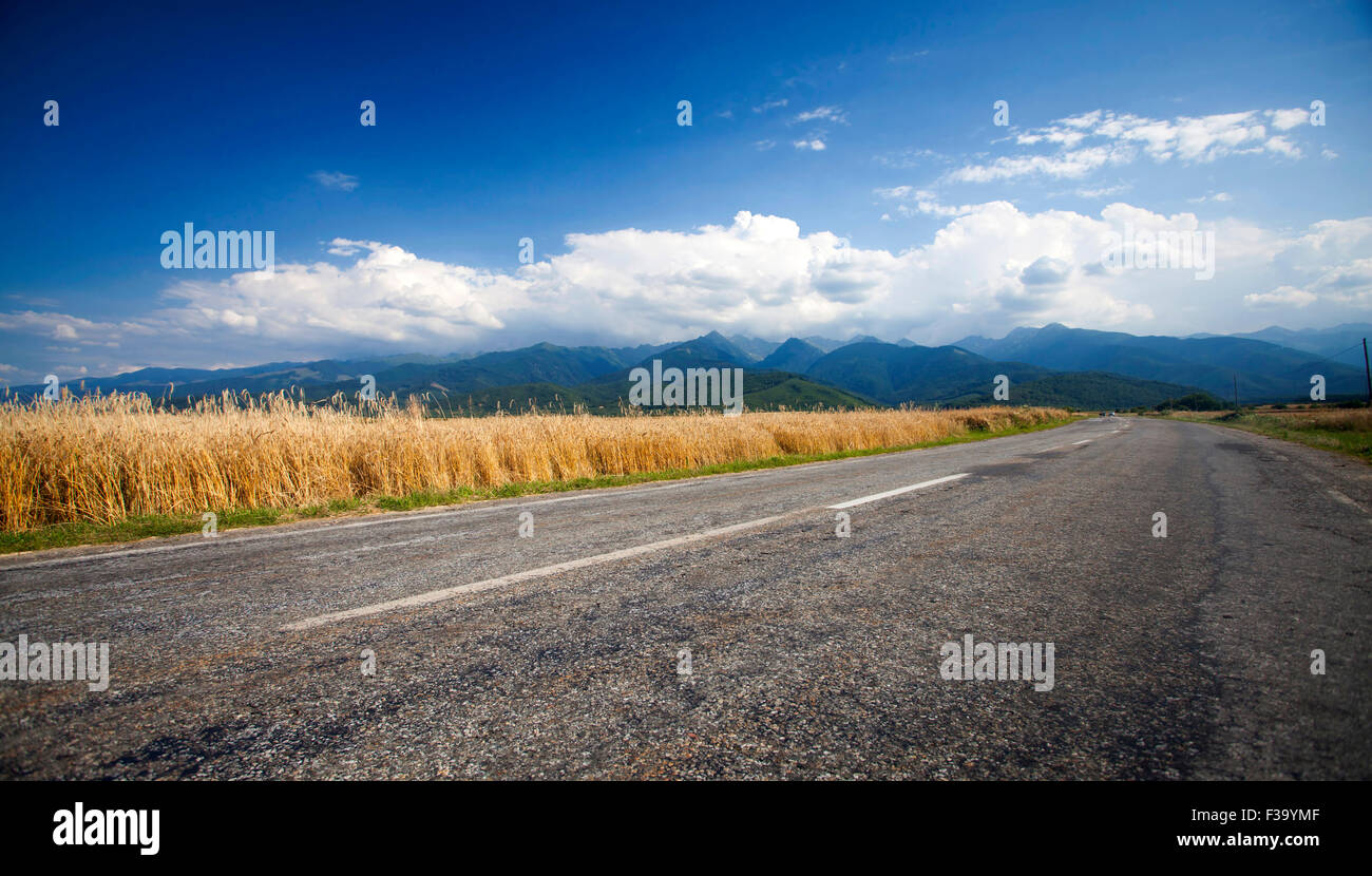 Strada lungo il bordo di un campo di grano, cielo blu e le montagne sullo sfondo, Transilvania, Romania Foto Stock
