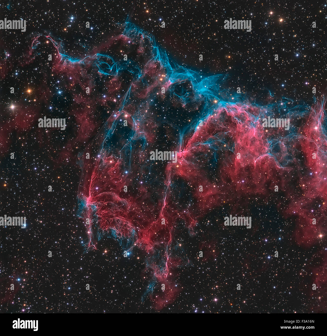 NGC 6995, il bat Nebula, parte del Velo nebulosa Cygnus. Foto Stock