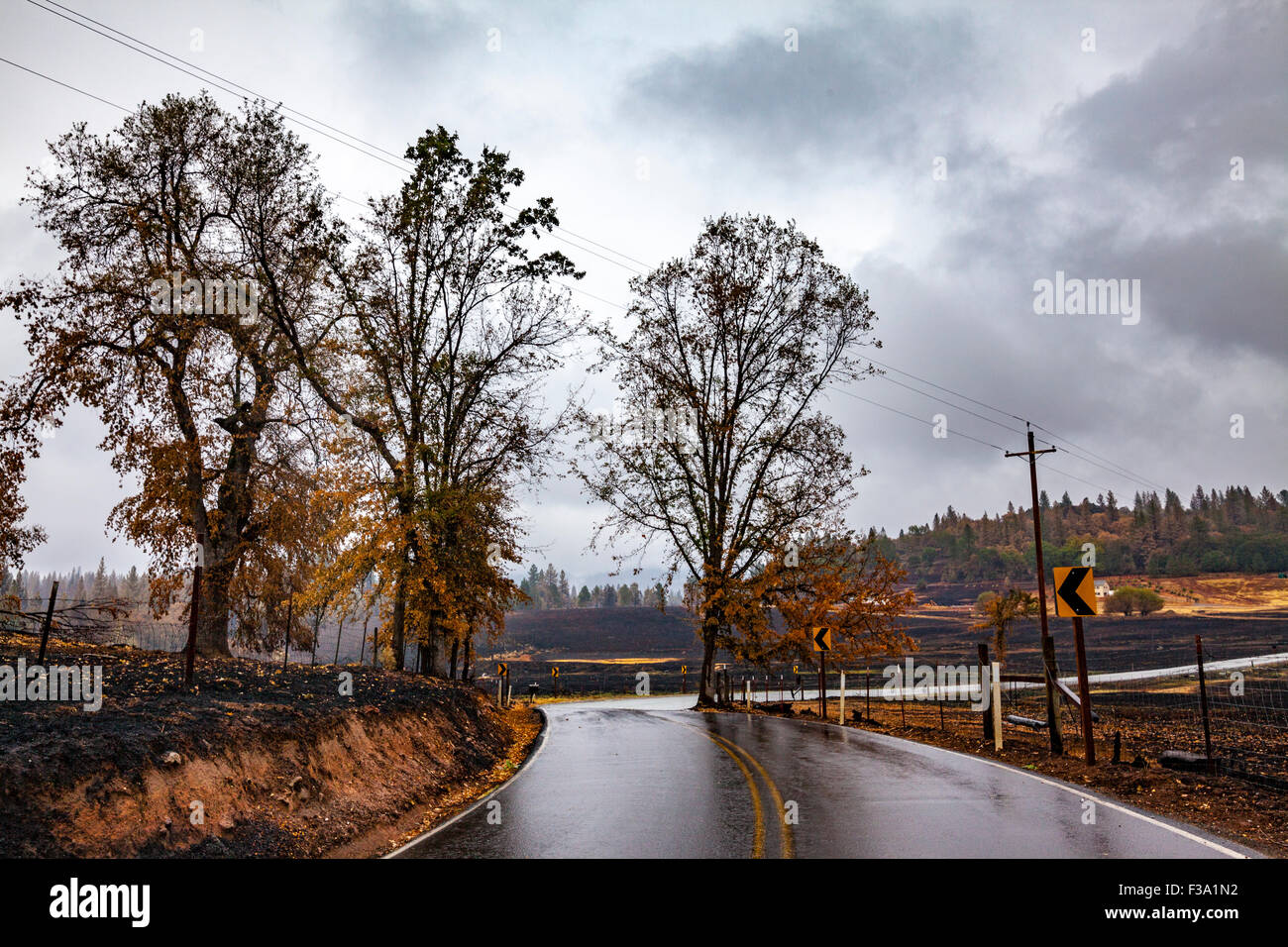 La distruzione e la miracolosa conservazione della proprietà immobiliare in California's Butte fire in Sierra Nevada della California Foto Stock