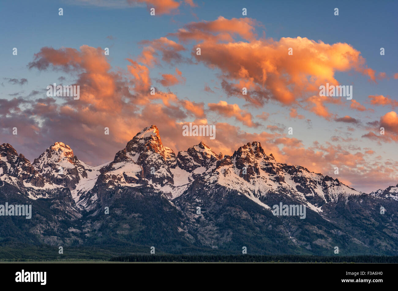 Il Wyoming, Grand Teton National Park, gamma Teton Mountains Foto Stock