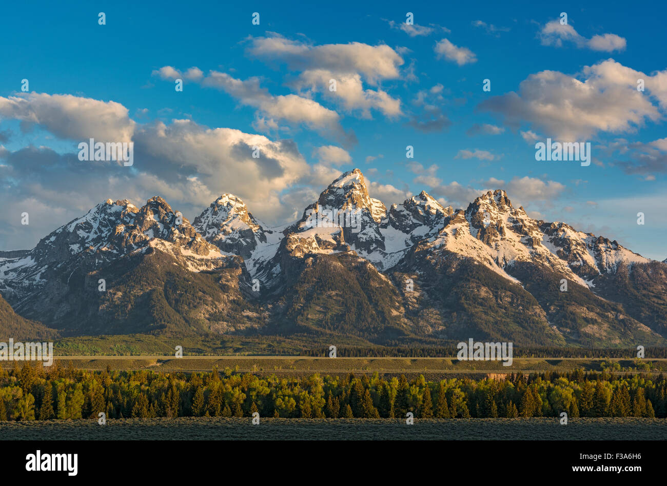 Il Wyoming, Grand Teton National Park, gamma Teton Mountains Foto Stock