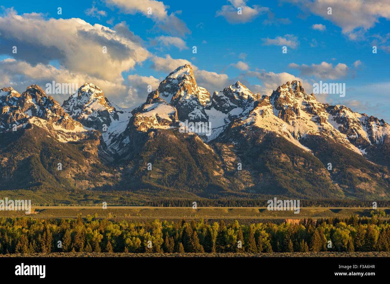 Il Wyoming, Grand Teton National Park, gamma Teton Mountains Foto Stock