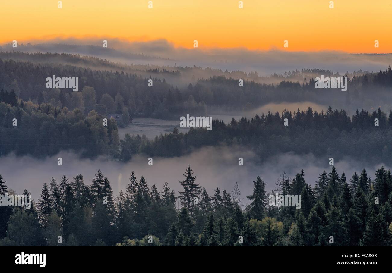 Tranquillo paesaggio di Aulanko riserva naturale parco in Finlandia. Una fitta nebbia che copre la scena nelle prime ore del mattino. Immagine hdr. Foto Stock