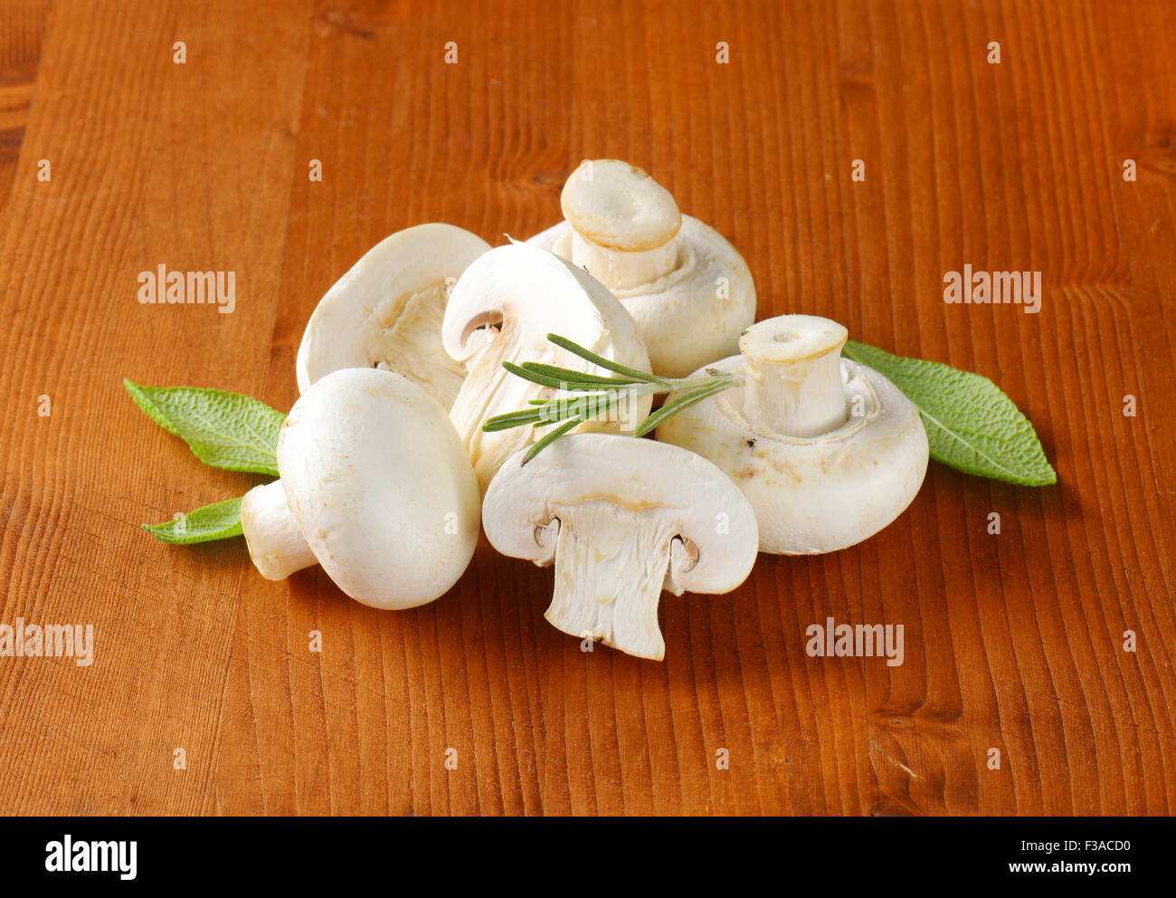 Pulsante freschi i funghi e le erbe culinarie Foto Stock