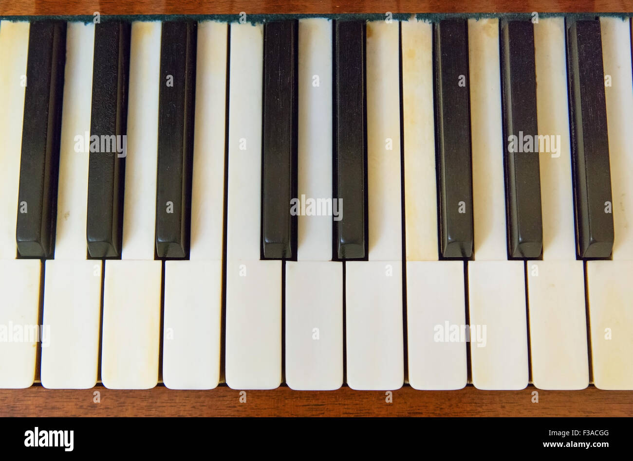 Primo piano del bianco e del nero di tasti di pianoforte Foto Stock