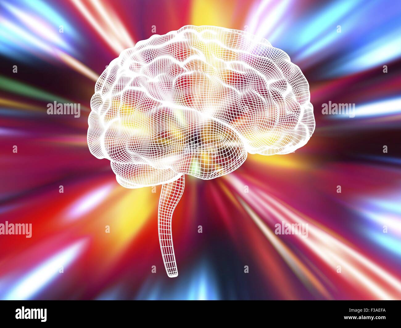Computer illustrazione del cervello umano. Rappresentazione a wireframe visto dal lato, con sfondo colorato. Foto Stock