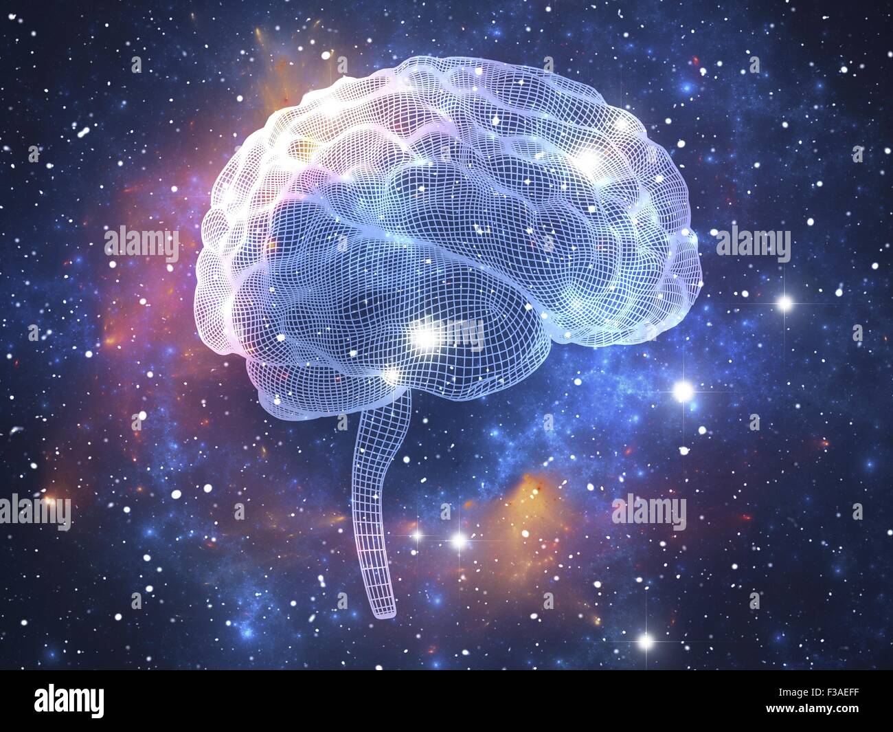Computer illustrazione del cervello umano. Rappresentazione a wireframe, visto dal lato. In sottofondo un space nebula opere d'arte. Foto Stock
