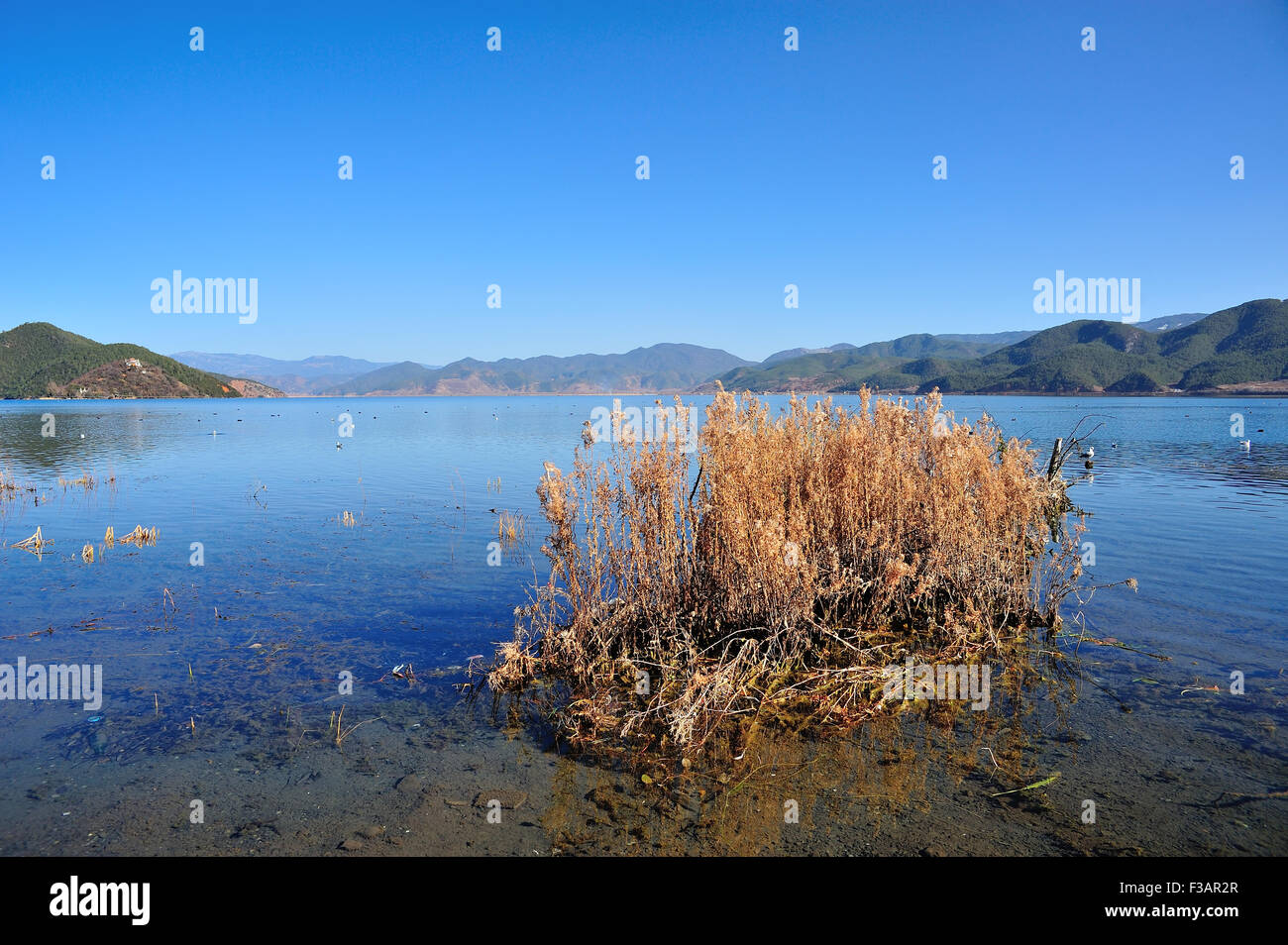 Lago Lugu in Yunnan, Cina Foto Stock