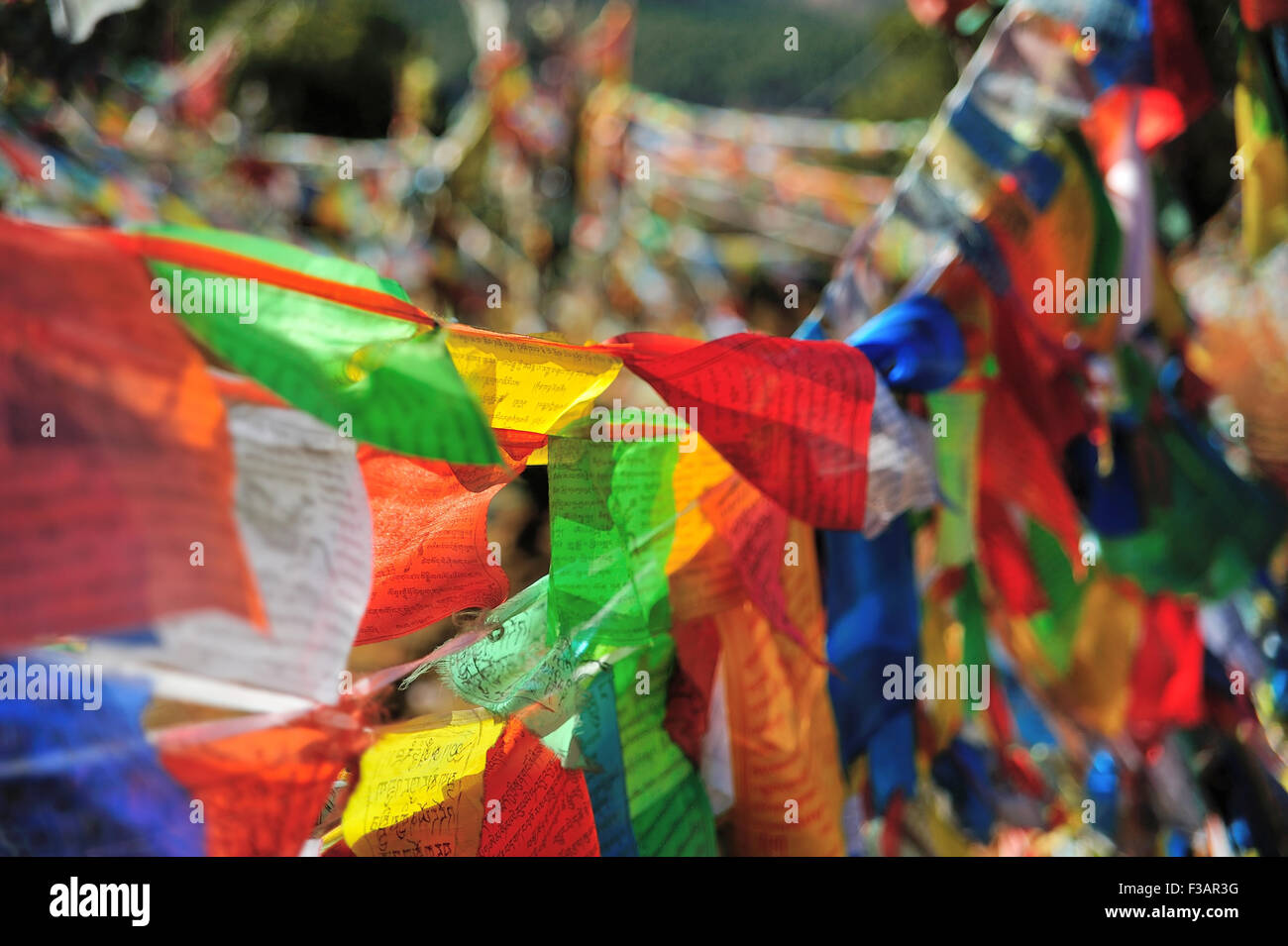 Lettore colorati battenti bandiera in Cina Foto Stock