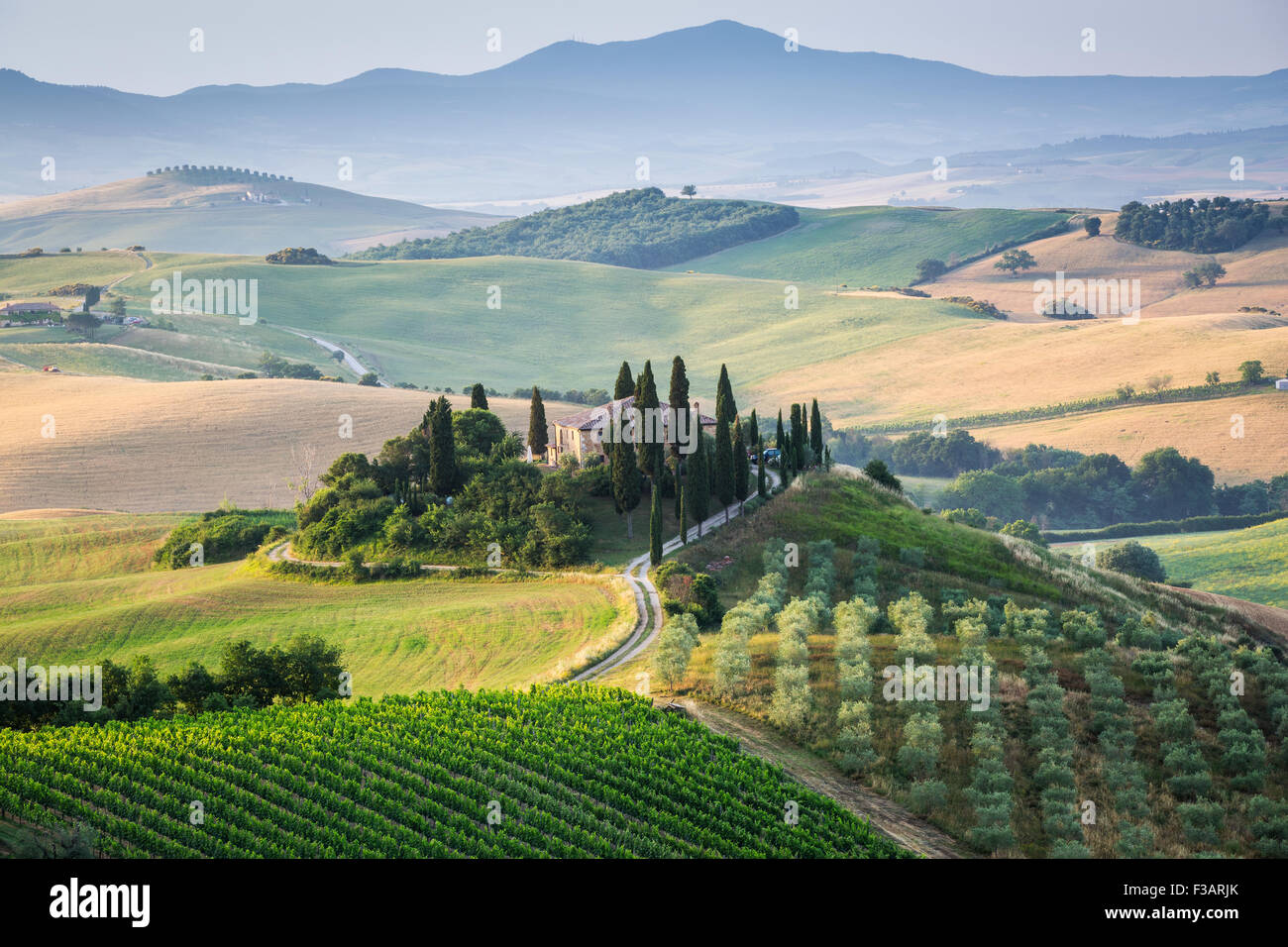 Toscana, agriturismo solitario nel verde e golden paese delle colline della Val d'Orcia, la mattina presto. Paesaggio italiano. Foto Stock