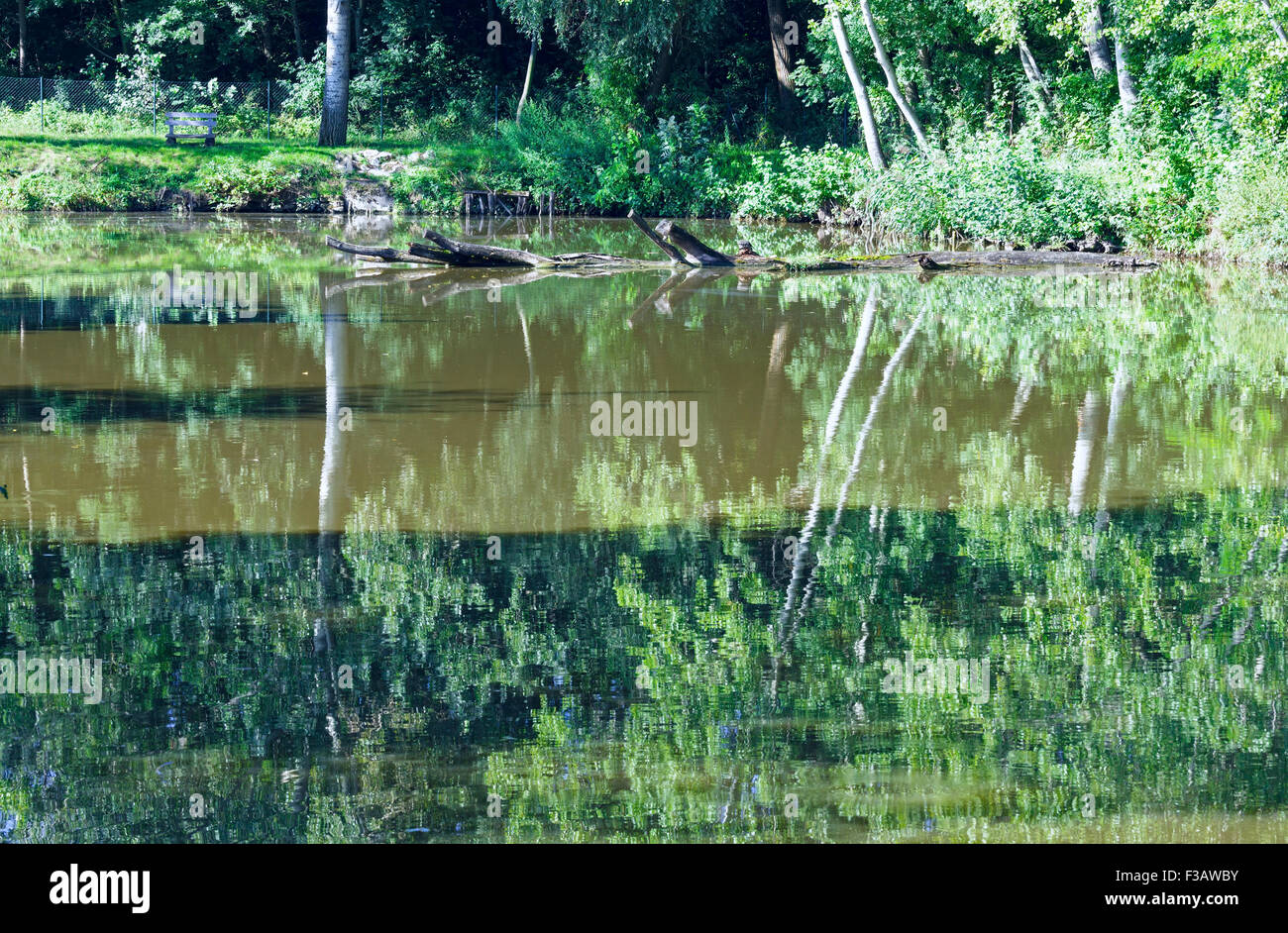 In estate il lago con alberi di riflessione sulla superficie dell'acqua. Foto Stock