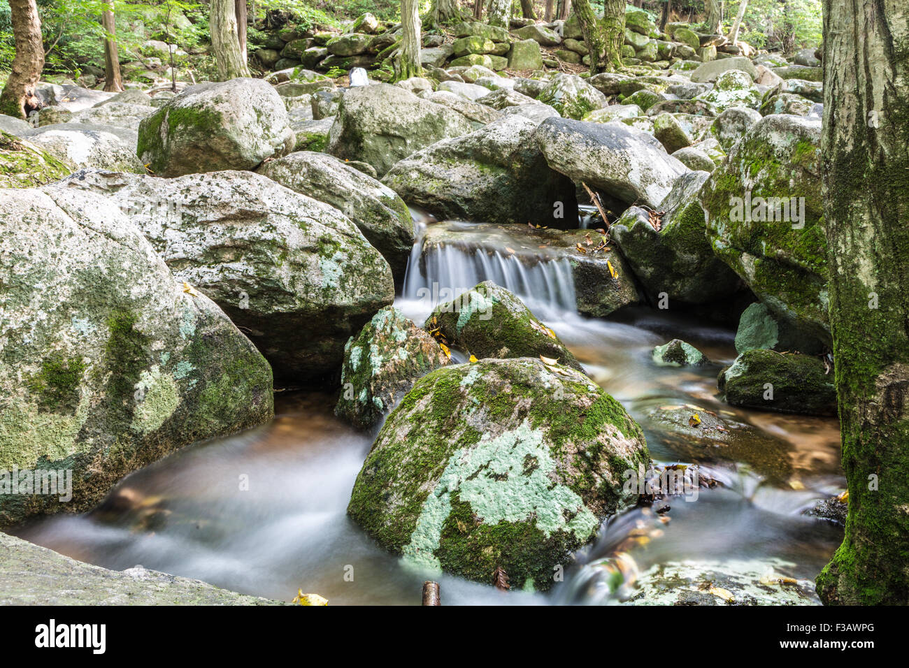 Flusso di fiume catturato con moto sfocata vicino tempio Beomeosa in Busan in Corea del Sud Foto Stock