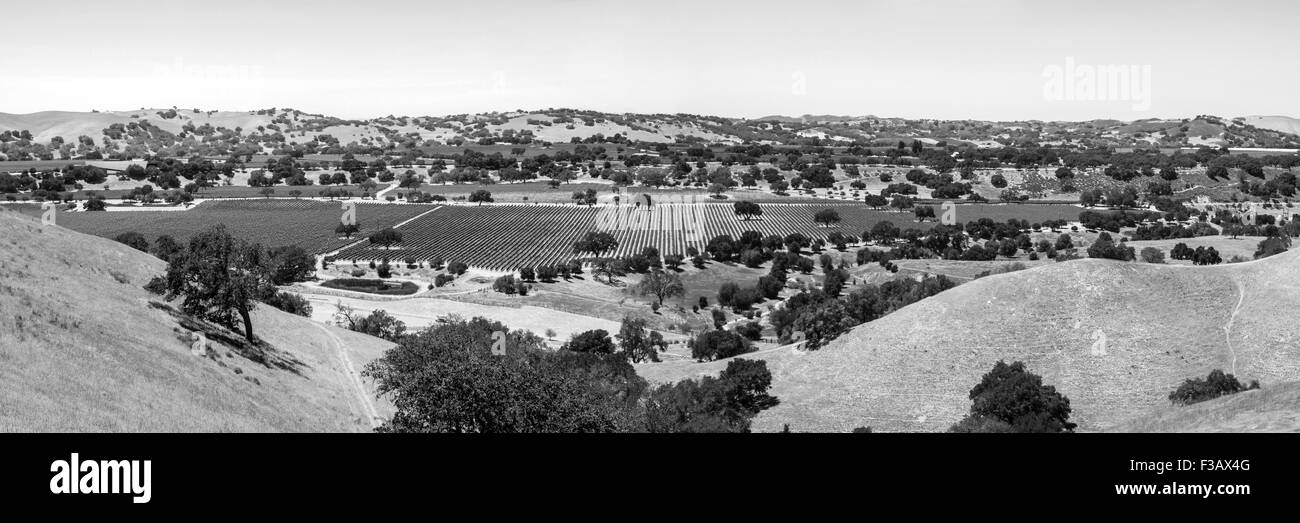 Vista del paesaggio del Foxen Canyon del sentiero del vino nella regione di Santa Barbara County della California Foto Stock