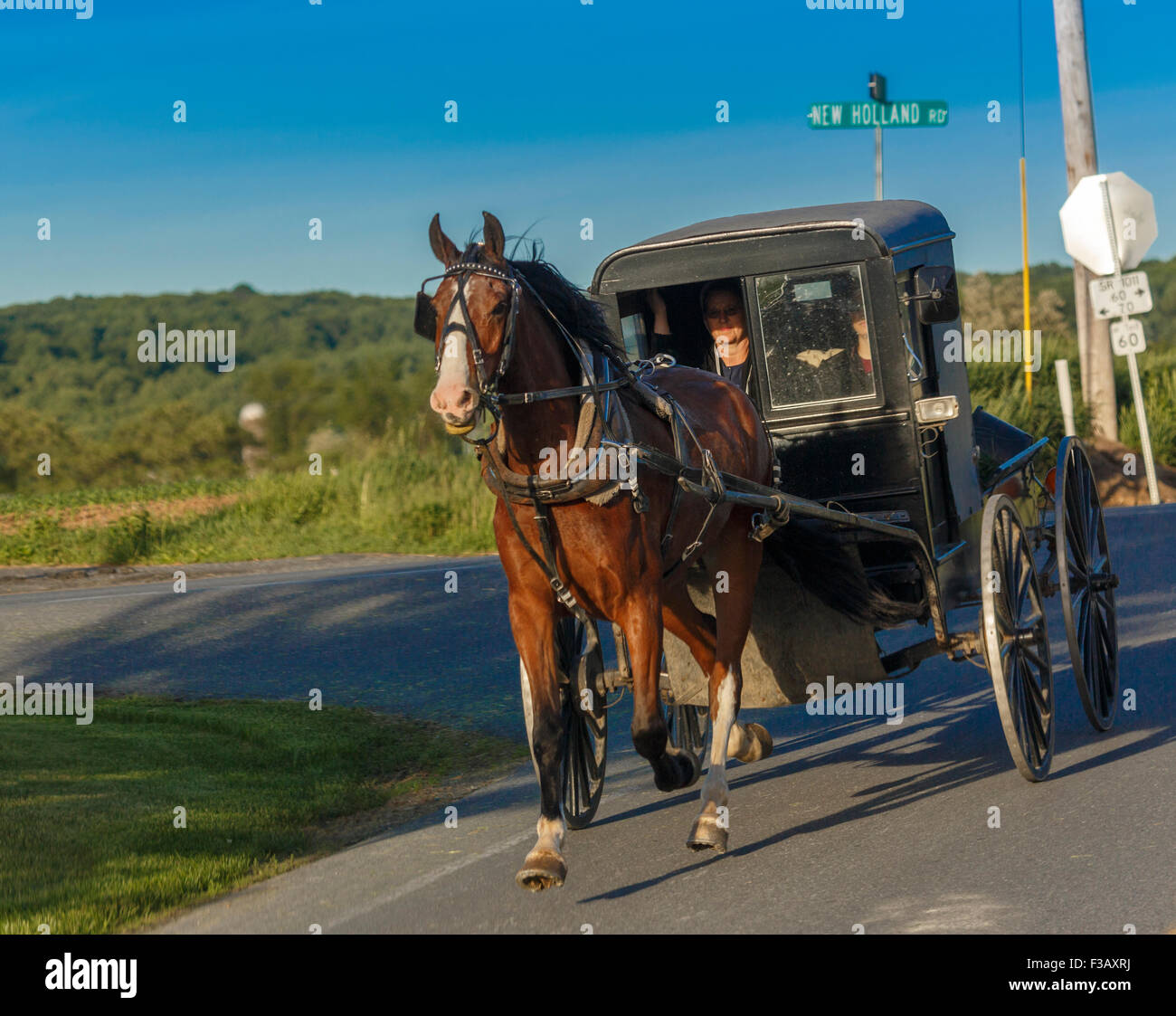 Amish cavallo e buggy quadrato trotting luce sera Pennsylvania, Stati Uniti Foto Stock