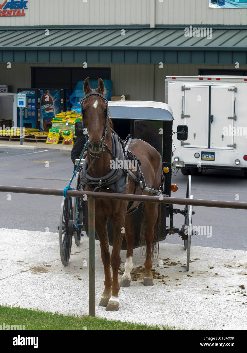 Cavallo Amish e buggy quadrato agganciato ad una ringhiera di cavallo Negozio di hardware esterno Pennsylvania USA Foto Stock