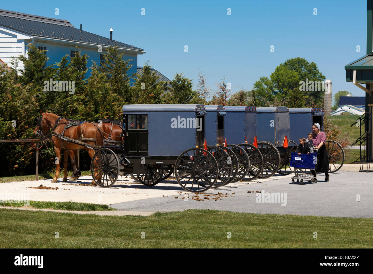 Donna Amish spingendo carrello con due bambini in essa con una fila di cavallo Amish e square carrelli agganciati al rail Pennsylavania USA Foto Stock