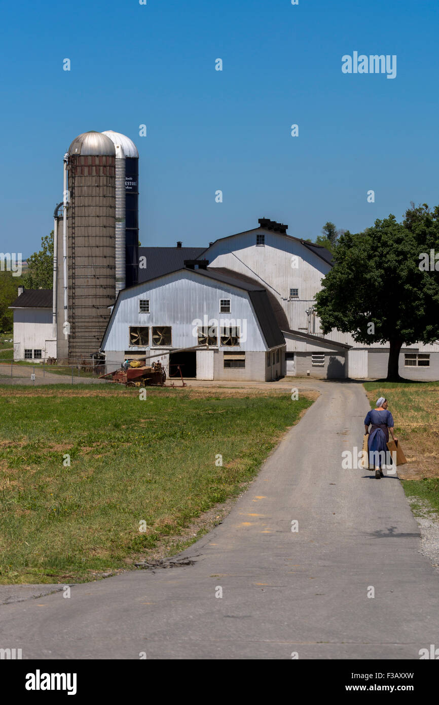 Lancaster County Pennsylvania fattoria Amish silo e degli edifici e attrezzature. Amish Donna che cammina verso la fattoria Foto Stock