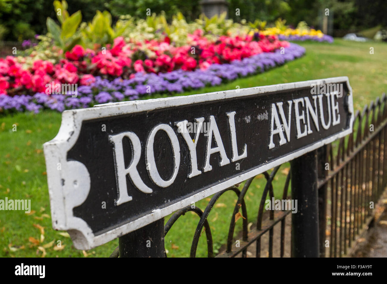 Giardini ben tenuti sul Royal Avenue Foto Stock