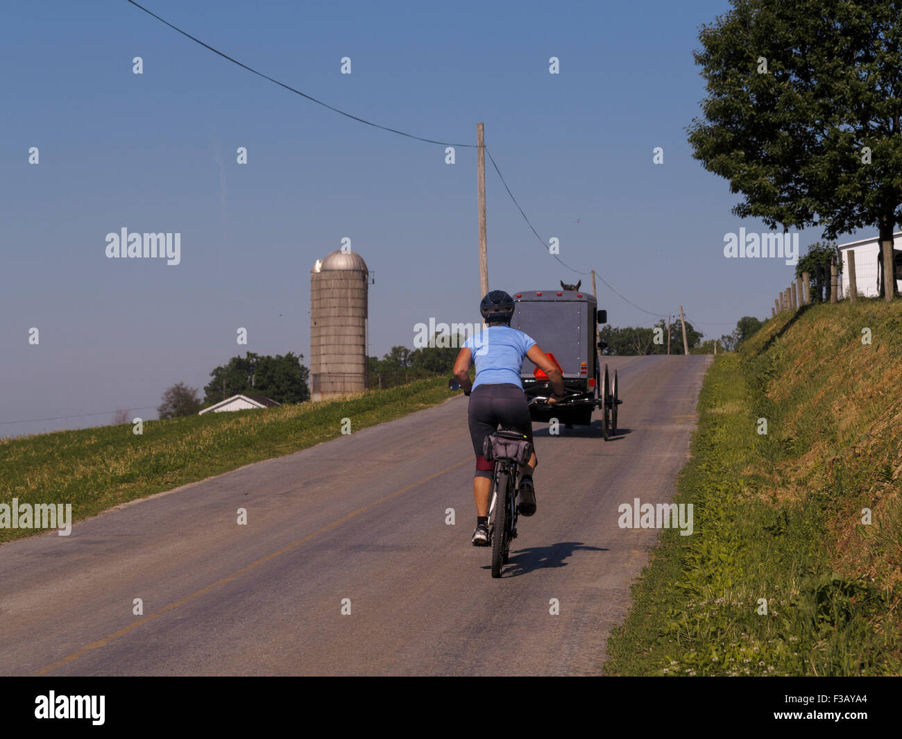 Ciclista femminile che segue un cavallo Amish e buggy lungo una strada di campagna. Lancaster County Pennsylvania Stati Uniti Foto Stock