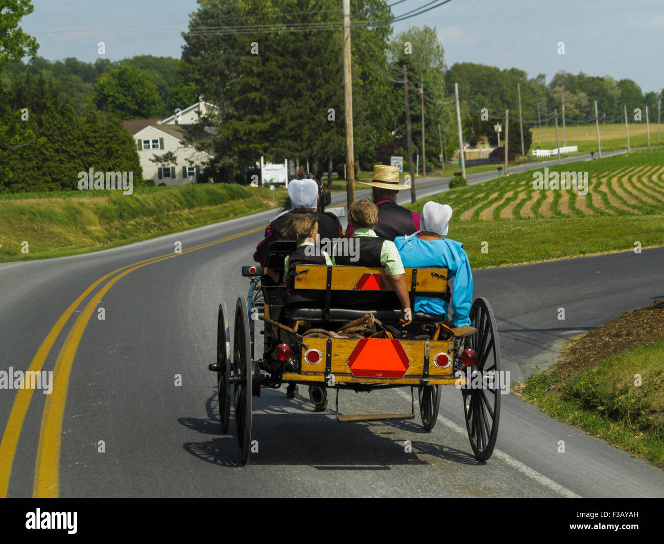 Famiglia Amish cavallo di guida e buggy lungo la strada di campagna di Lancaster County Pennsylvania USA Foto Stock